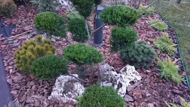 Как красиво украсить дачу. Примеры самих дачников смотреть онлайн