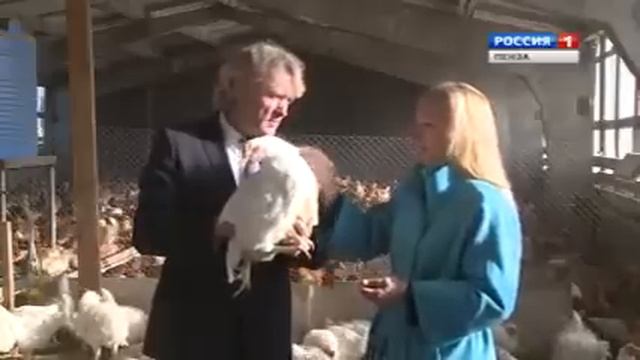 Выращивание кур бройлеров на ферме Тоцкого г. Пенза смотреть онлайн