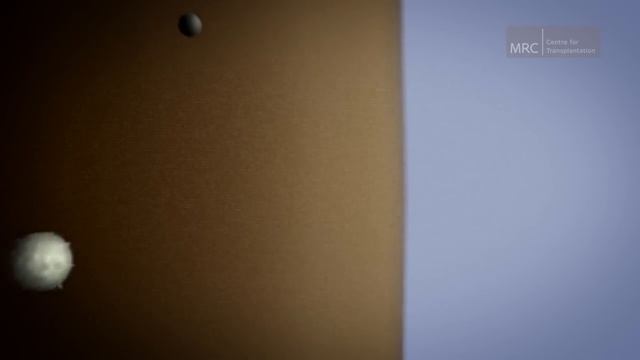 The Immune System | Preserving Disease Resistance After a Transplant смотреть онлайн