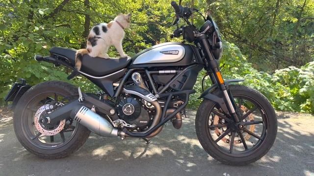 Дуги на мотоцикл Ducati Scrambler 800, Cafe Racer 800 смотреть онлайн