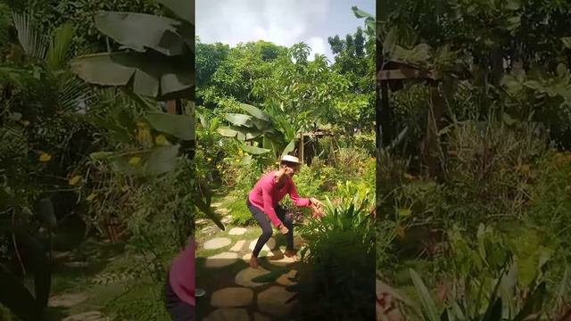 1964 - Sacha Distel - La Belle Vie