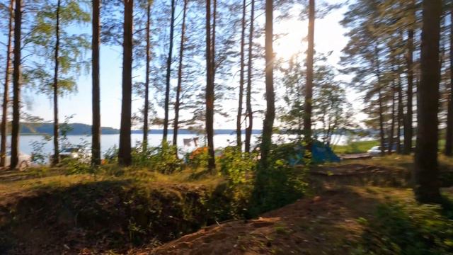 TaraLand Camp смотреть онлайн