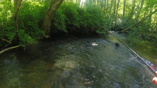 #352 Ручьевая форель смотреть онлайн