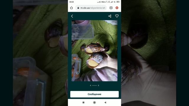 И смех и грех... Объявления на OLX смотреть онлайн