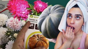 ОЖИДАНИЕ - РЕАЛЬНОСТЬ//Цветы и овощи из семян. Что выросло в итоге.