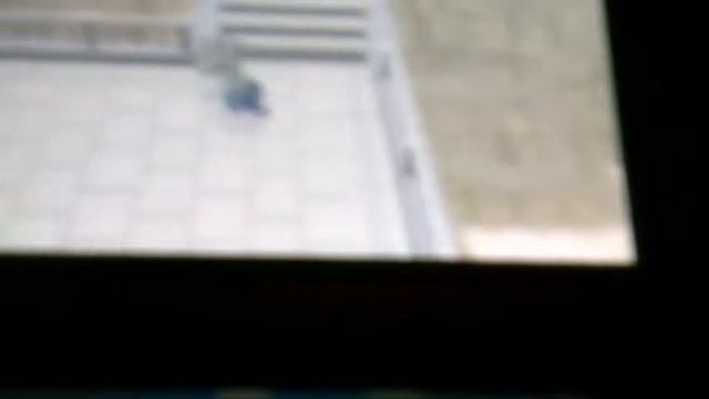 The Best Shiny Chain Fishing Spot in Pokemon X/Y смотреть онлайн