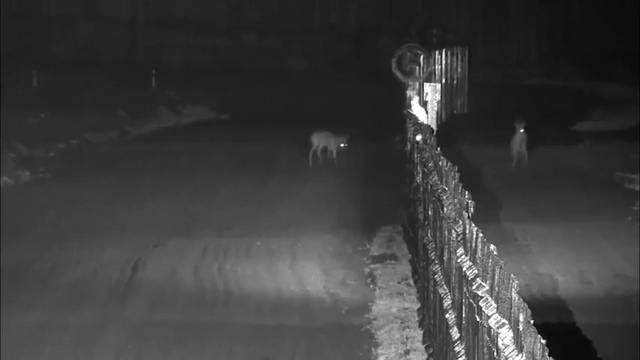 Ночной конфликт на украино-белорусской границе смотреть онлайн