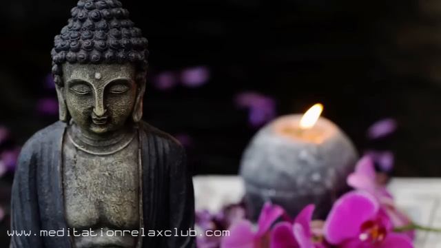 Zen Warrior | Asian Meditation Music For Tai Chi, Qi Gong, Yoga Practice