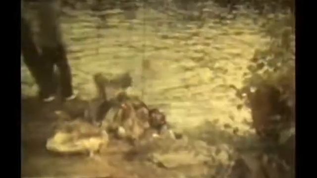 р.Мста. Раритет. Калининград смотреть онлайн