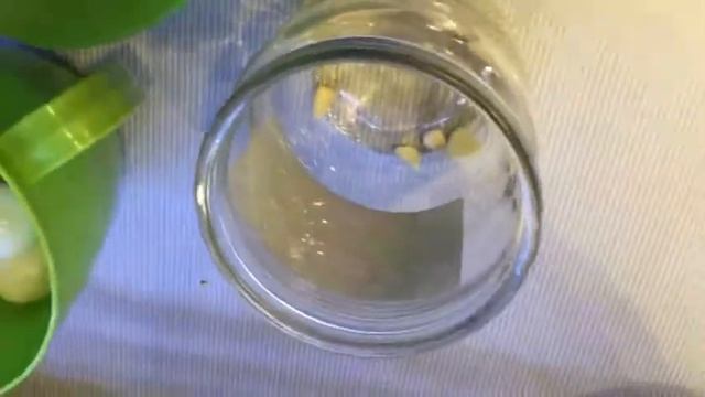 Мариновка перепелиных яиц смотреть онлайн