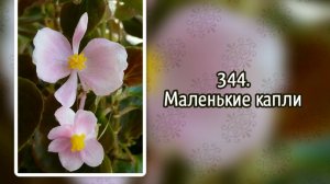 Гимны надежды 344 Маленькие капли (-)