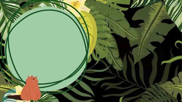 BOOK-релиз В. Танасийчук "Где зимуют лягушки?" смотреть онлайн