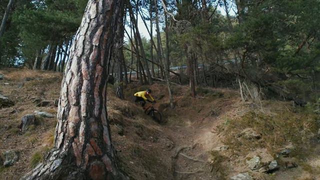 Canyon Spectral CF 2024 Im Test - Macht K.I.S. Dieses Bike Besser?