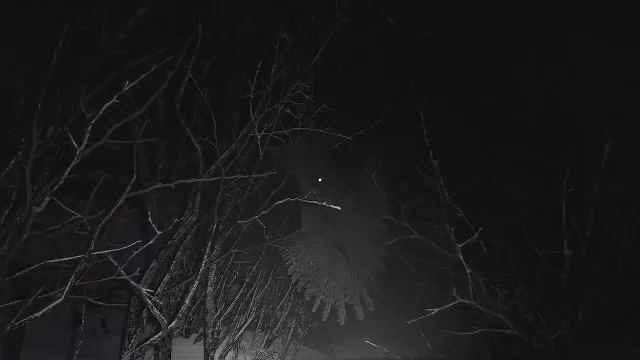 Resident Evil Village