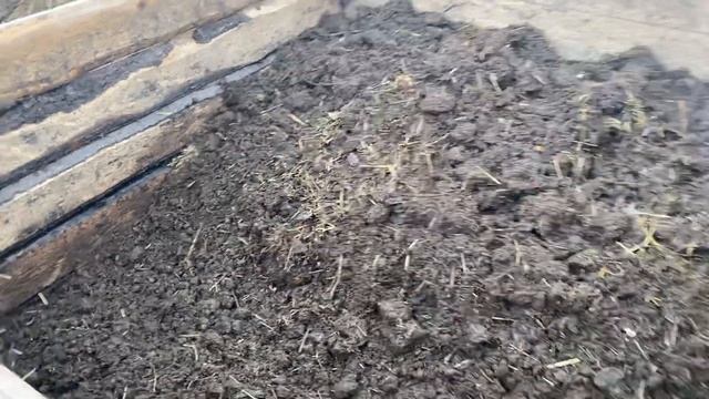 Подготовка буртов к зиме, кормление и утепление. Разведении красных калифорнийских червей на улице. смотреть онлайн