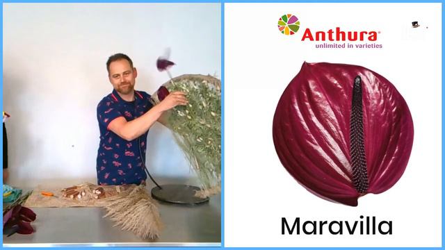 Online Flower Show with Pascal Zijlmans смотреть онлайн
