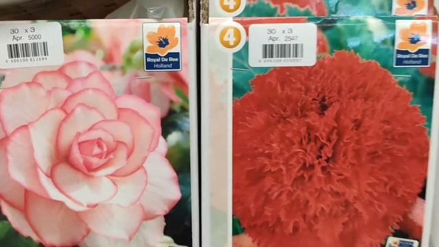 ?Видеообзор 25.03 Леруа Мерлен (Металлургов), Екатеринбург. ?Саженцы.