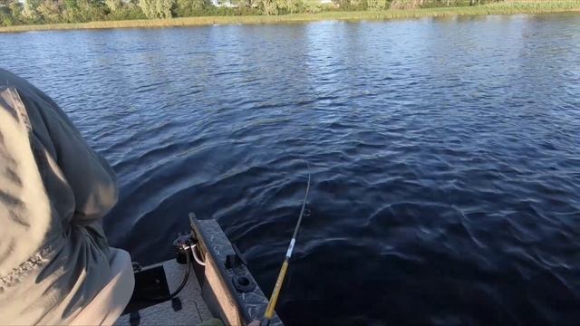 КРУПНЫЙ ОКУНЬ, СУДАК, ЖЕРЕХ. Ловля на спиннинг 2021. смотреть онлайн