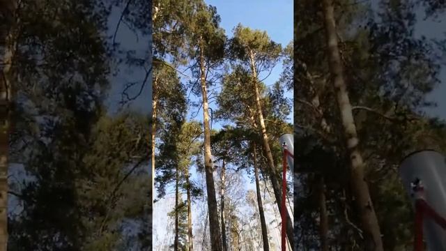 Обские плесы смотреть онлайн