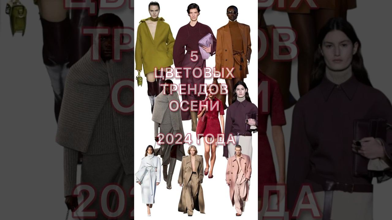 5 ТРЕНДОВЫХ ЦВЕТОВ ОСЕНЬ 2024 #стиль #мода #style #shopping смотреть онлайн