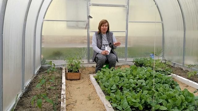 Выращиваю редис только так: маленькая хитрость для быстрого и богатого урожая редиса! смотреть онлайн