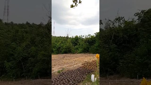 Drakor kw смотреть онлайн