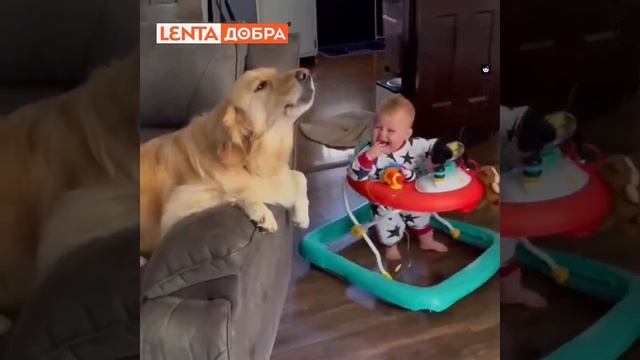 дуэт смотреть онлайн