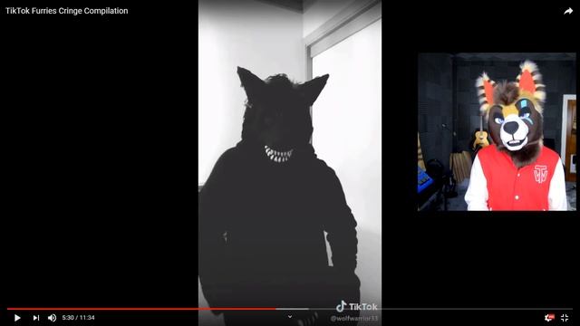 FURRY CRINGE 2 (TikTok Edition) End My Suffering смотреть онлайн