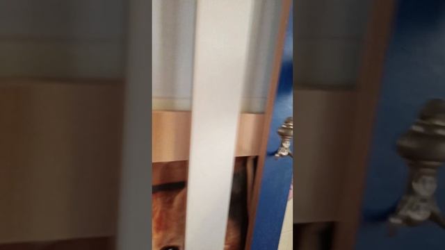 квартира 114 смотреть онлайн
