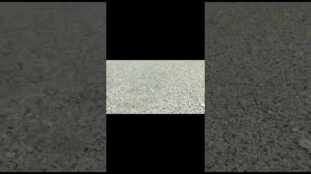 Море,море,мир бездонный..... смотреть онлайн