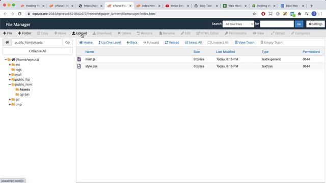 cPanel Tutorial | How To Use cPanel File Manager To upload you website and Get Your Website Online смотреть онлайн
