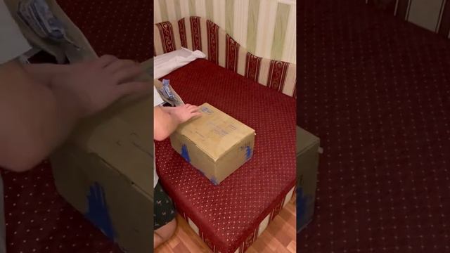 МОИ КНИГИ/сам себе ЛИКБЕЗ смотреть онлайн