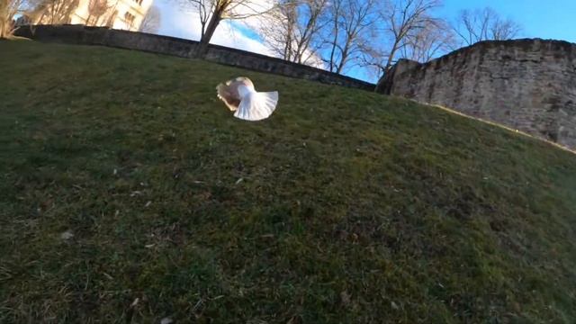 Bardejov Slovakia смотреть онлайн