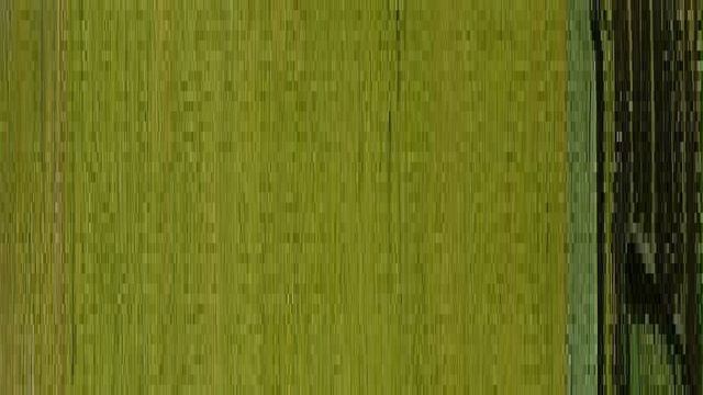 Автопортрет смотреть онлайн