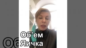 Размер и объём яичек у мужчин