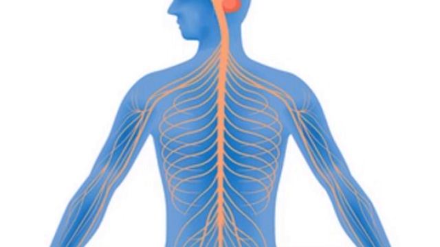 Даже один ФИНИК вызывает необратимый процесс в Нашем организме . Вся правда о финиках! смотреть онлайн