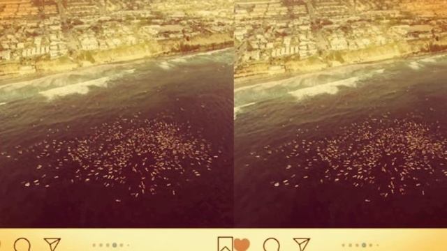 Paddle out for UNITY. смотреть онлайн