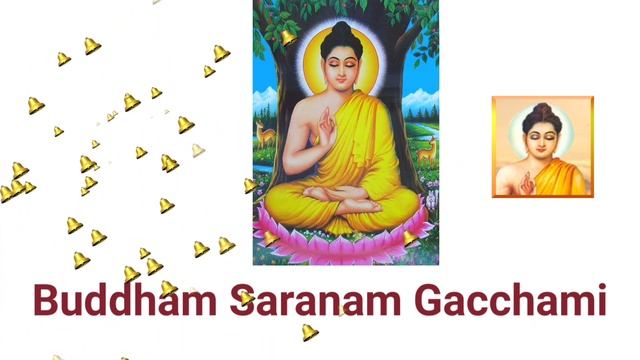 Buddham Saranam Gacchami Vandana - #buddha