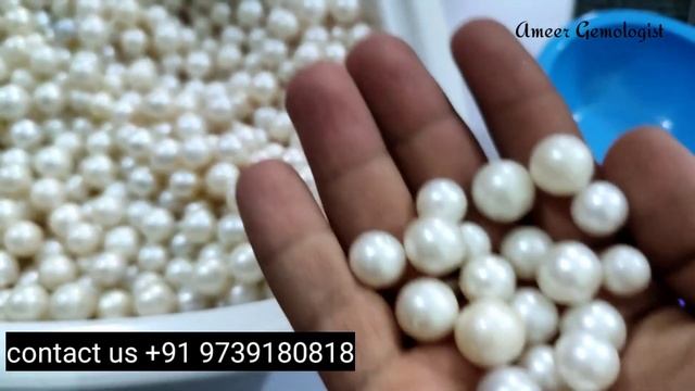 southsea pearl moti stone price and quality || complete details of South sea pearl смотреть онлайн