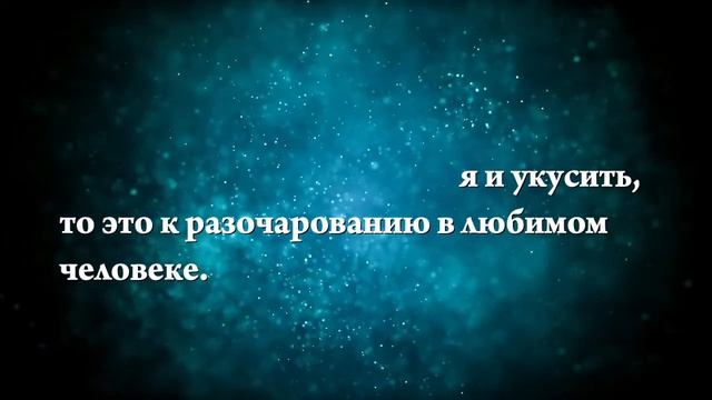 К чему снится собака на цепи - Онлайн Сонник Эксперт смотреть онлайн