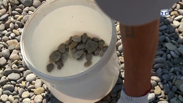 На пляжах Гурзуфа обнаружен мазут смотреть онлайн