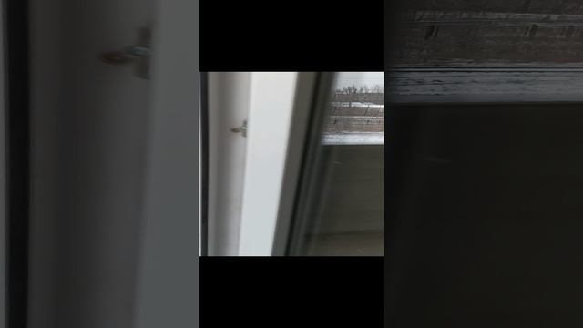 VID_20230106_105332.mp4