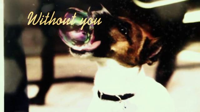 Грустно и смешно смотреть онлайн