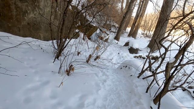Teaching My Puppy to Recall with Distractions - KRATOS vs. Off Leash Park смотреть онлайн