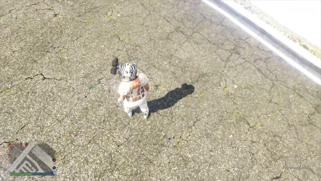 GTA V ONLINE PS4 *SUPER EASY GCTF GLITCH* HOW TO RECEIVE ANY CAR OR PLANE (FREE MODED ACCOUNT) смотреть онлайн