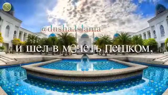 Пятница лучшый день у мусульман! смотреть онлайн