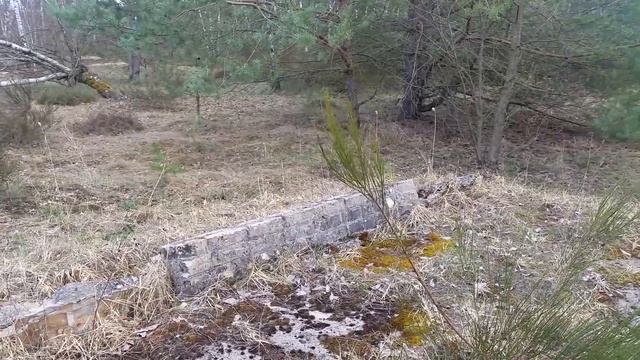 Левый ТОГ Ютербогского учебного центра,окрестности 3.04.2021 смотреть онлайн