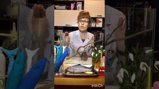 Запуск аквариума ч.1. Что нужно и сколько стоит. смотреть онлайн