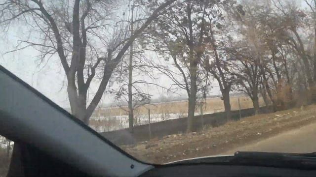 Питомник деревьев по дороге в Талгар 27 02 2019г смотреть онлайн