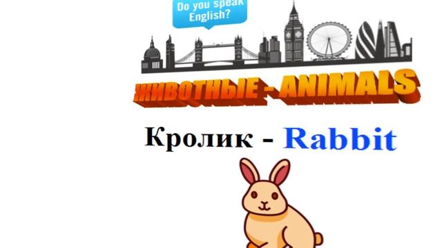 Животные на английском языке смотреть онлайн